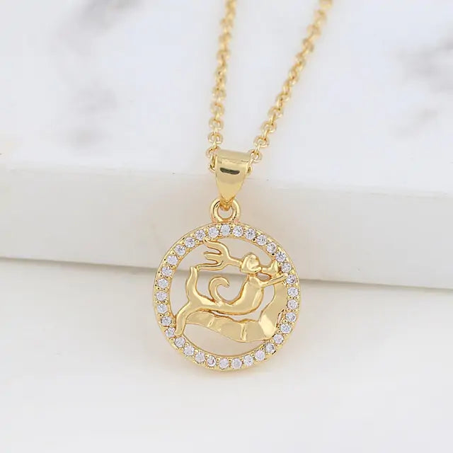 "3D Zodiac Symbol Fashion Necklace"