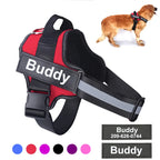Dog Harness