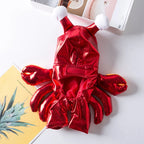 Funny Pet Dog  Costumes