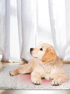 Self-Warming  Cat Dog Bed