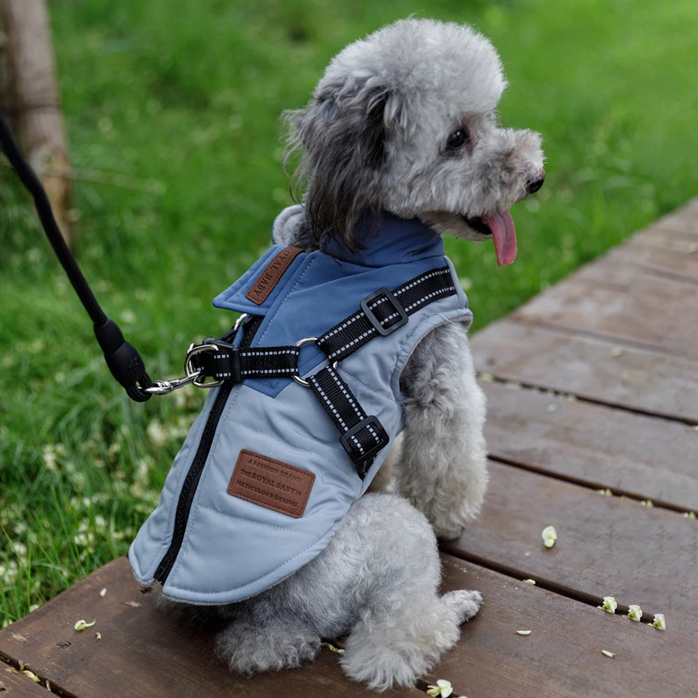 Winter Pet Dog Jacket