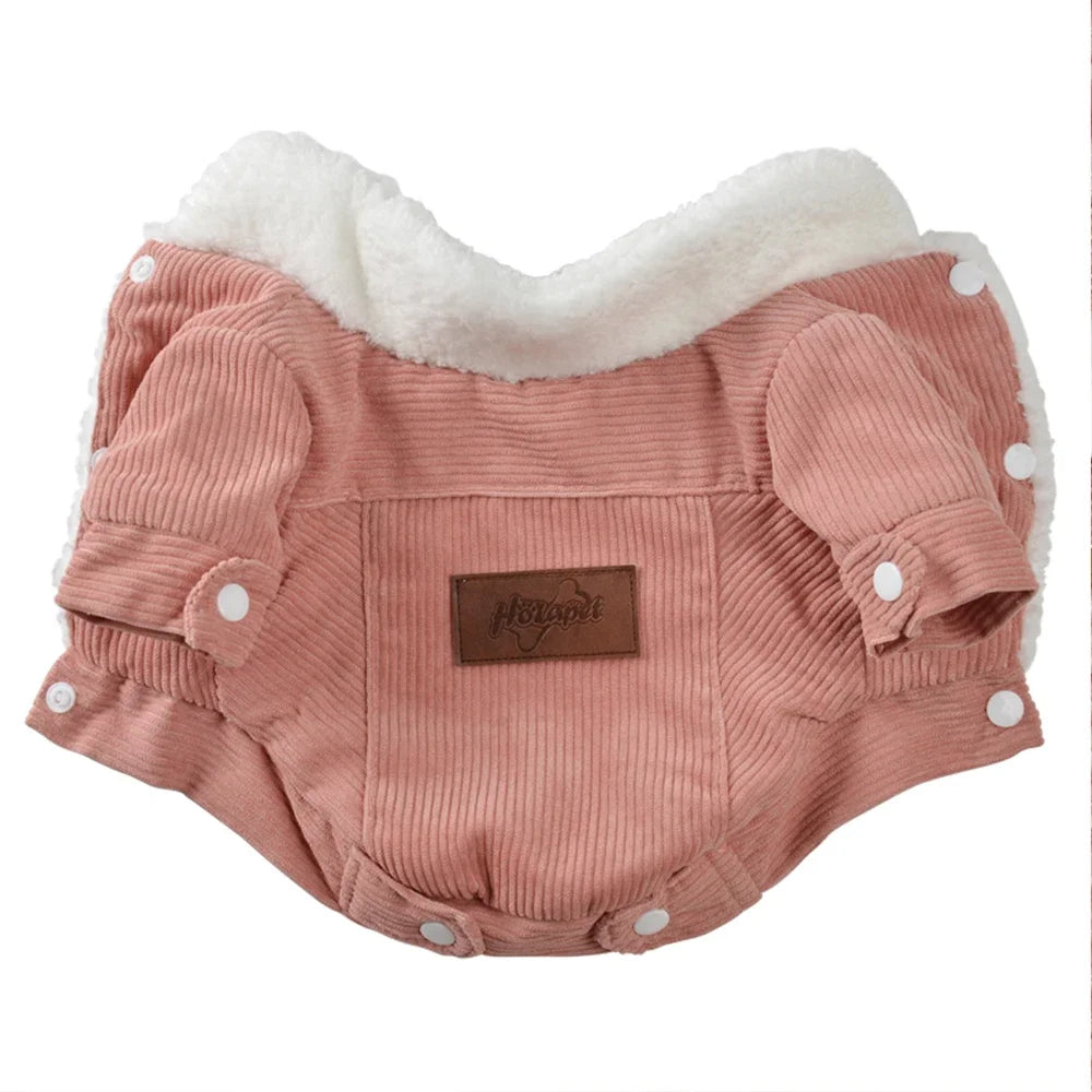 Winter Pet t Jacket