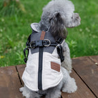 Winter Pet Dog Jacket