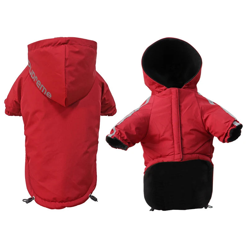 Winter  Dog  Hooded Jacket