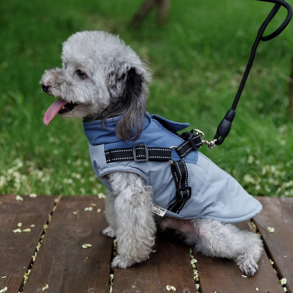 Winter Pet Dog Jacket