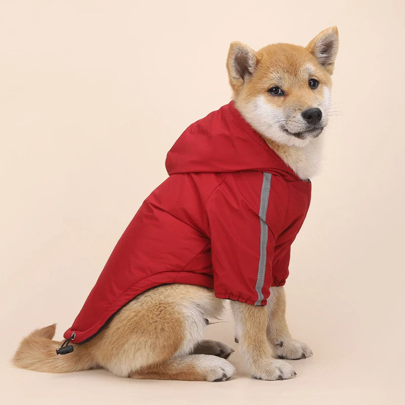 Winter  Dog  Hooded Jacket