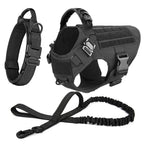 Large Dog Harness And Leash