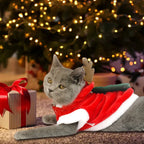 Christmas Pet Clothes Winter