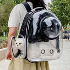 Pet Cat Carrying
