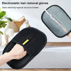 Pet Grooming equipment