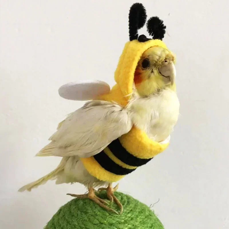 Bee Shaped Birds Clothes