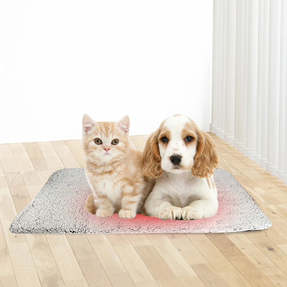 Self-Warming  Cat Dog Bed
