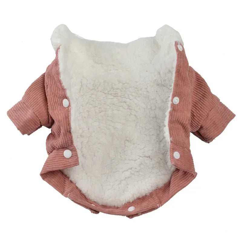 Winter Pet t Jacket