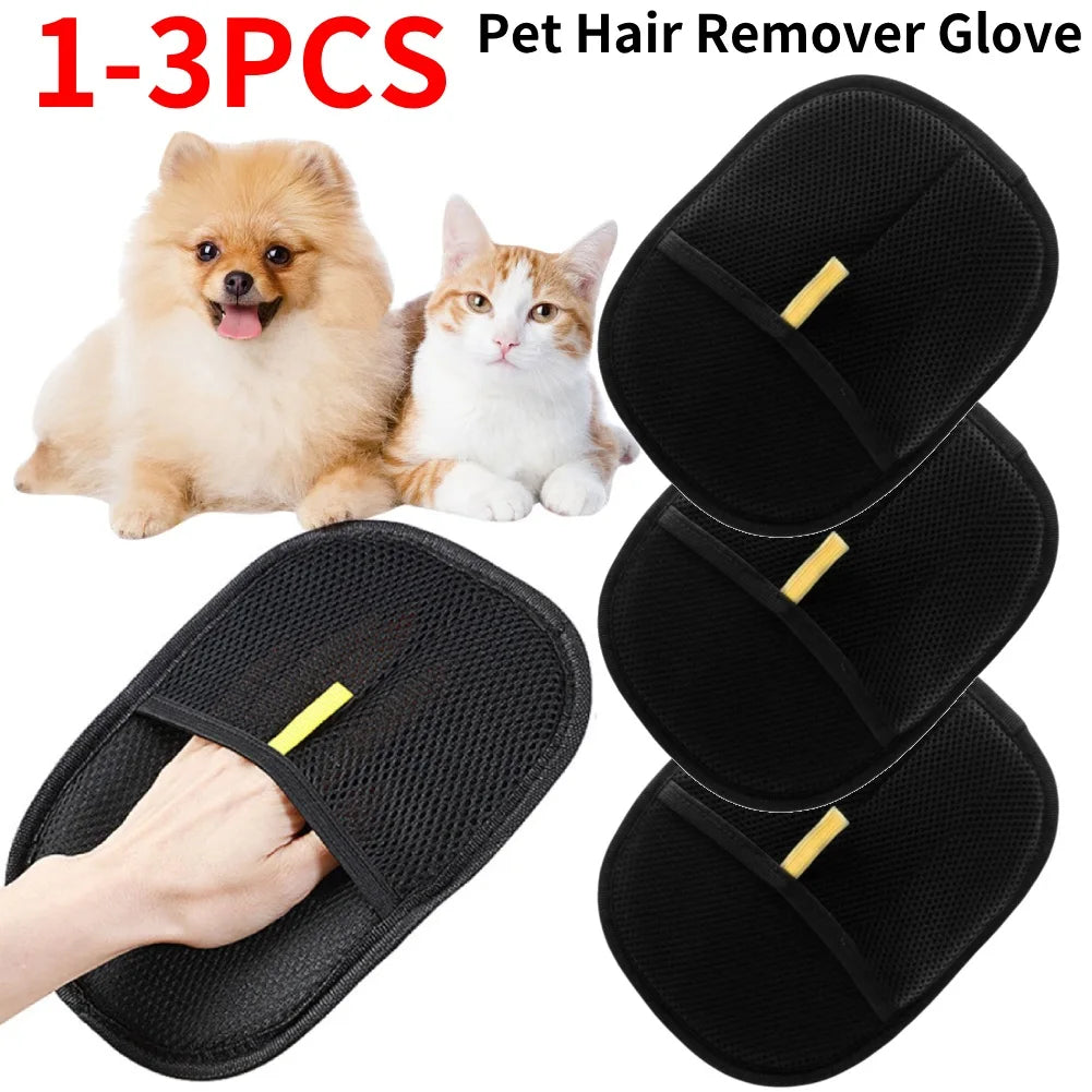 Pet Grooming equipment