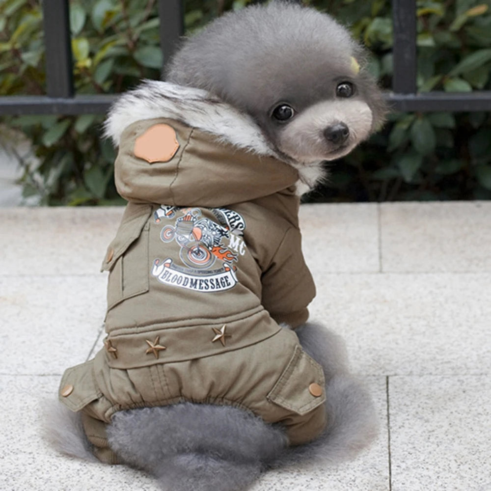 Dog  Thickness Hooded