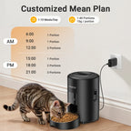 Automatic Cat Feeder
