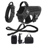 Large Dog Harness And Leash