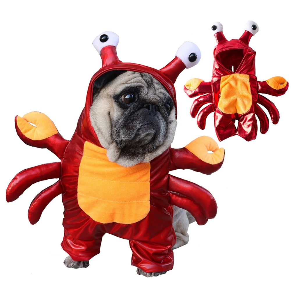 Funny Pet Dog  Costumes