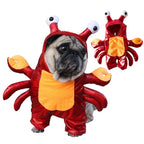 Funny Pet Dog  Costumes