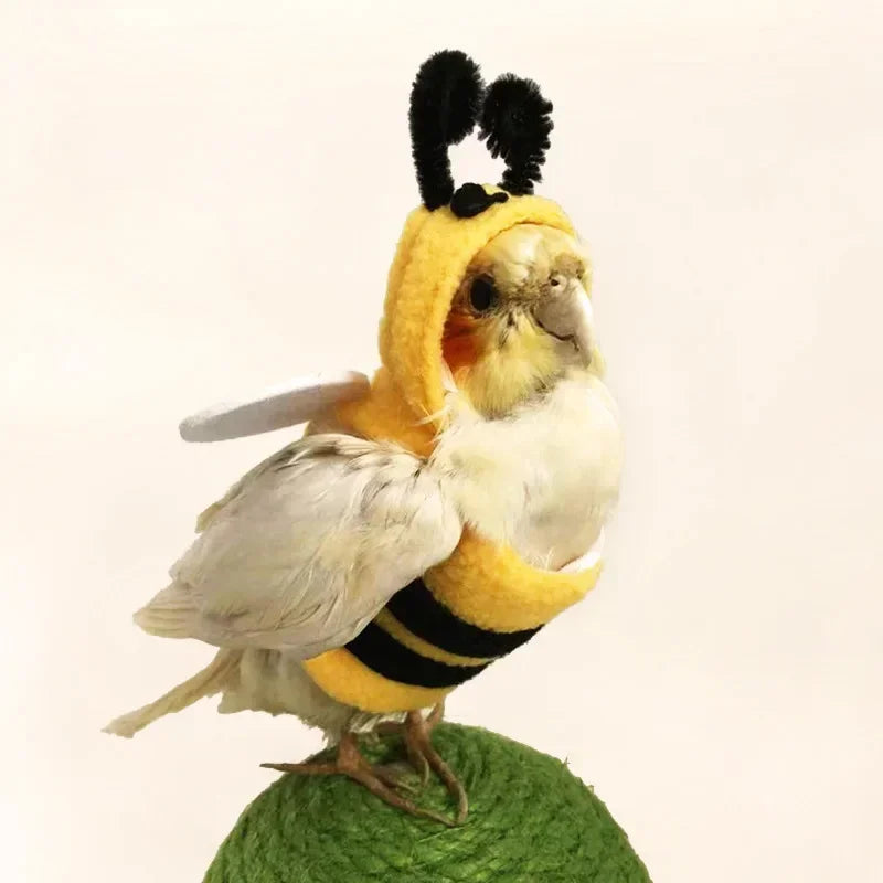 Bee Shaped Birds Clothes