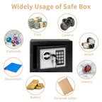 Deli Premium Security Safe Box,