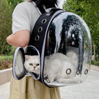 Pet Cat Carrying