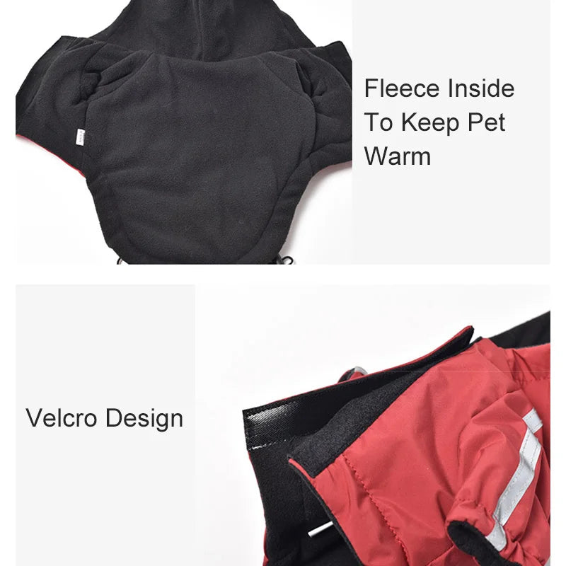 Winter  Dog  Hooded Jacket