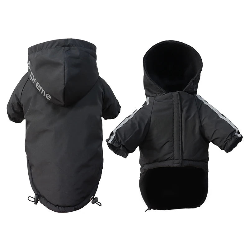 Winter  Dog  Hooded Jacket