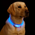 New LED Dog Collar