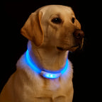 New LED Dog Collar