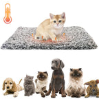 Self-Warming  Cat Dog Bed