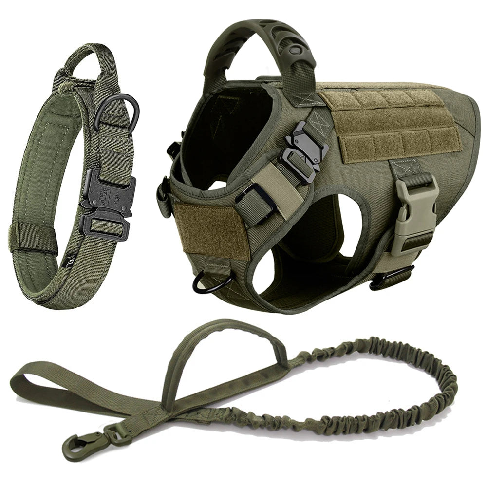 Large Dog Harness And Leash