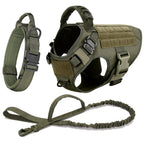 Large Dog Harness And Leash