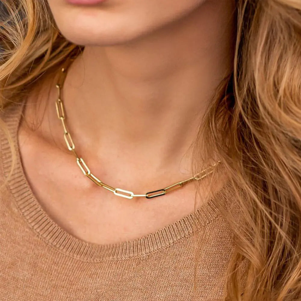 "Manco Paperclip Link Fashion Necklace"