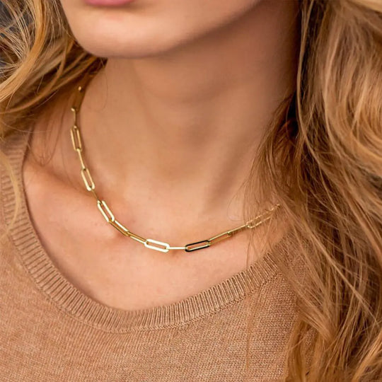 "Manco Paperclip Link Fashion Necklace"