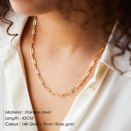 "Manco Paperclip Link Fashion Necklace"